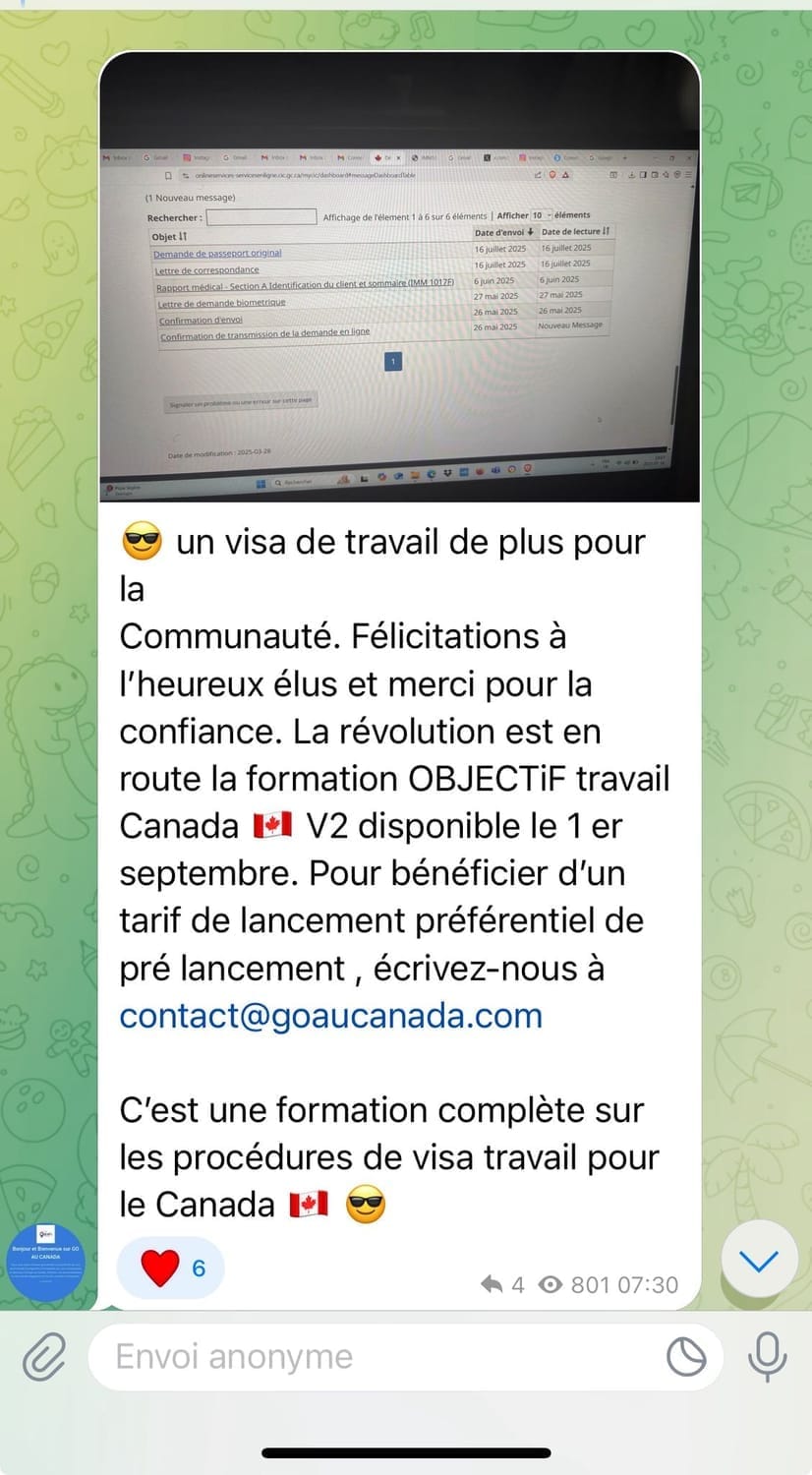 Visa de travail accordé